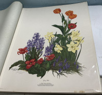 Sale Image for February Online Auction 2026