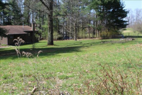 Sale Image for Real Estate & Contents