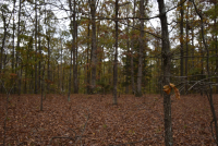 Sale Image for Wilkin Estate Personal Prop. -Absentee Bidding