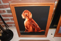 Sale Image for Real Estate &amp; Contents