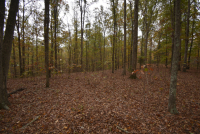 Sale Image for Wilkin Estate Personal Prop. -Absentee Bidding