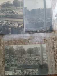 Sale Image for Lakeview Area Public Library Benefit Auction