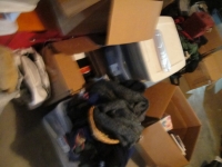 Sale Image for Large Estate Sale