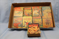 Sale Image for Large Public Auction