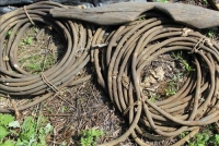 Sale Image for Primitives, Antiques, Collectibles & Tool Auction