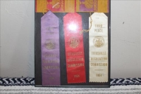 Sale Image for Moving Auction