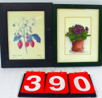 Sale Image for Online Only- Rare &amp; Unusual Collectibles Auction