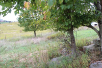 Sale Image for Real Estate Auction