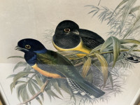 Sale Image for New Year Part 2 Auction 2026