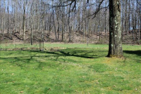 Sale Image for Real Estate & Contents