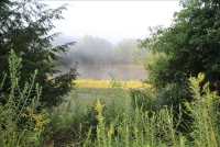 Sale Image for Real Estate Auction