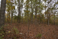 Sale Image for Wilkin Estate Personal Prop. -Absentee Bidding