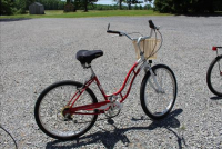 Sale Image for Large Public Auction