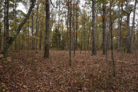 Sale Image for Wilkin Estate Personal Prop. -Absentee Bidding