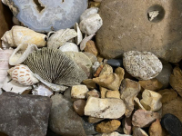 Sale Image for February Online Auction 2021