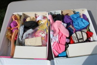 Sale Image for Large Public Auction