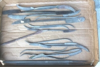 Sale Image for Large Public Auction