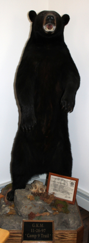 Sale Image for Large Public Auction - Real Estate &amp; Contents