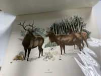 Sale Image for February Online Auction 2026