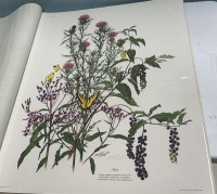 Sale Image for 2nd March Online 2026