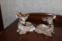 Sale Image for Large Public Auction