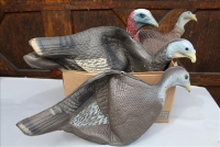 Sale Image for Large Public Auction