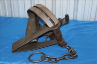 Sale Image for Large Public Auction