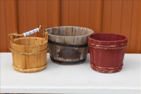 Sale Image for Large Big Bang Bash Auction