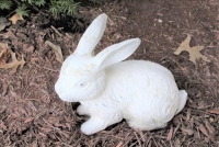 Sale Image for Large Public Auction