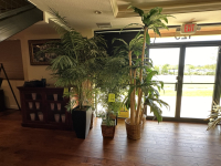 Sale Image for A Sound Decision, Inc. 