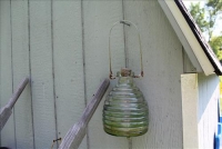 Sale Image for Moving Auction