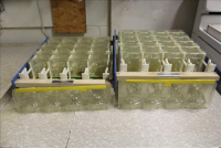 Sale Image for Jameson's Candy Store Liquidation Auction