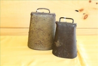 Sale Image for Large Public Auction