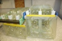 Sale Image for Jameson's Candy Store Liquidation Auction