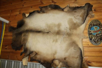 Sale Image for Large Public Auction