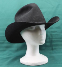 Sale Image for Large Public Auction