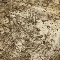 Sale Image for New Year Part 2 Auction 2026