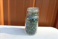 Sale Image for Large Big Bang Bash Auction