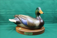 Sale Image for Large Public Auction