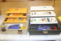 Sale Image for Large Public Auction