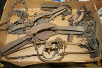 Sale Image for Large Public Auction