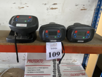 Sale Image for Viva-Liz, Inc. (Automotive Paints And Finishes, Supplies And Vehicles)