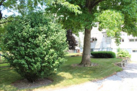 Sale Image for Real Estate Auction