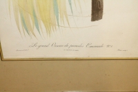 Sale Image for 3rd Annual Labor Day Antique Auction