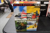 Sale Image for Large Public Auction