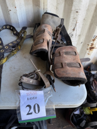 Sale Image for Native Tree Service, Inc. &amp; Native Landscape Service, Inc.