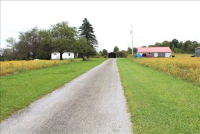 Sale Image for Real Estate &amp; Contents