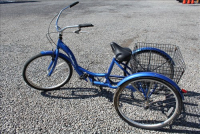 Sale Image for Large Public Auction