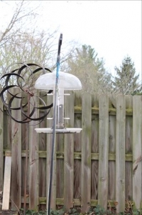 Sale Image for Moving Auction