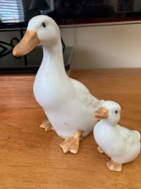 Sale Image for Large Public Auction